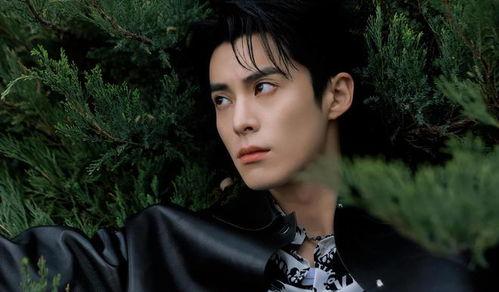 迪丽热巴王鹤棣最新爆料,揭秘幕后故事与精彩花絮